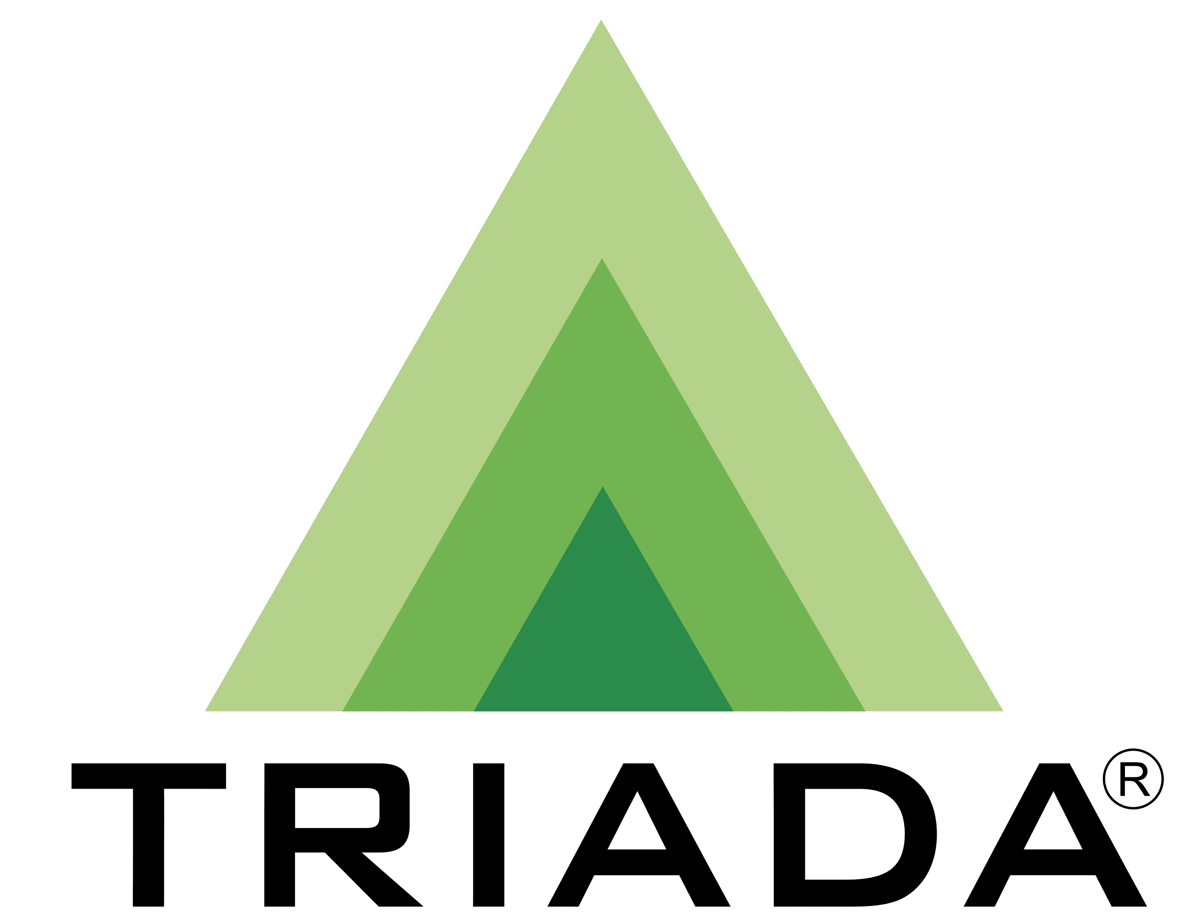 Лого 'Триада'